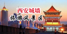 a草逼视频网站中国陕西-西安城墙旅游风景区