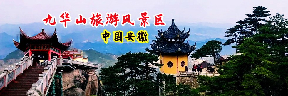 成人炮图网