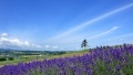 俄罗斯大鸡巴肏逼黑人爆菊花大黄片日本一地6日游  境外旅游 6880元/人