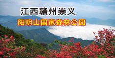 黑几八肏屄